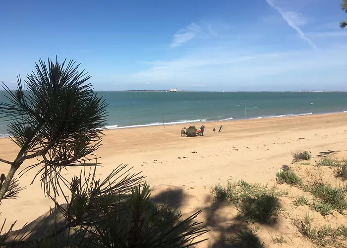 Hébergement de vacances Les Aigrettes *